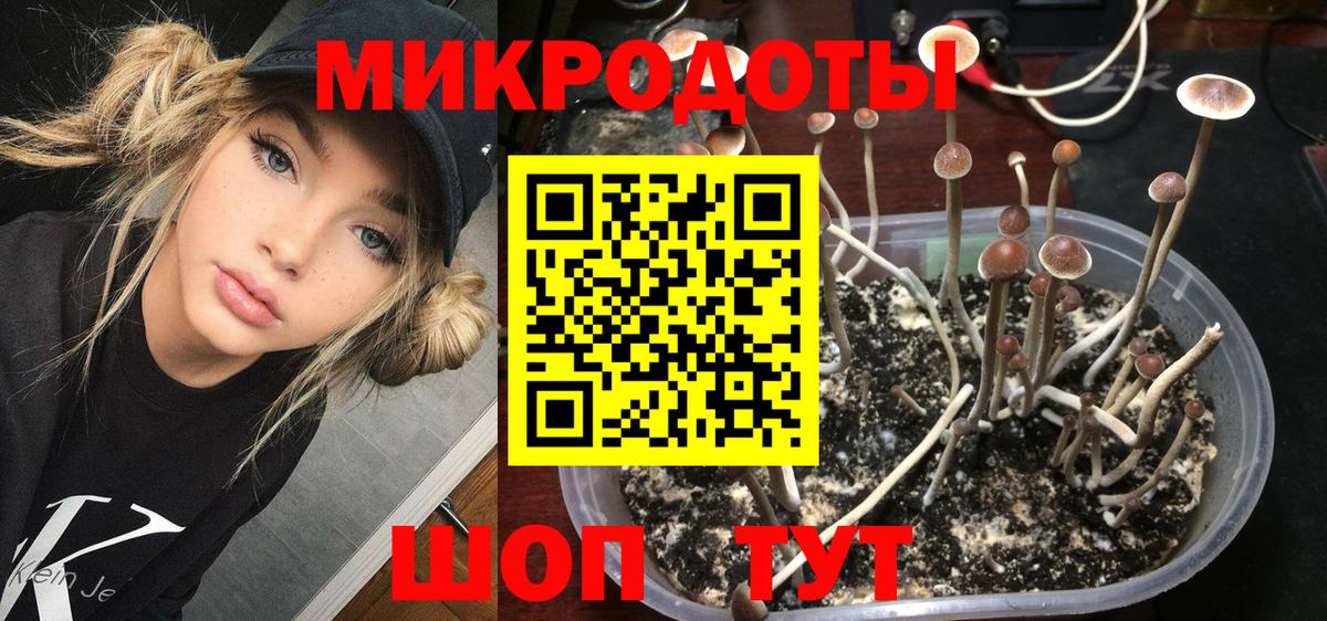 Псилоцибиновые грибы прущие грибы Пушкино
