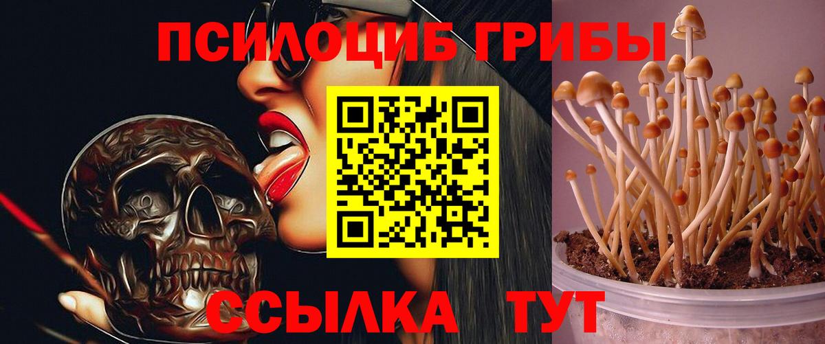 Псилоцибиновые грибы MAGIC MUSHROOMS  Вход с VPN  Пушкино 